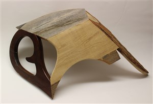 Image description is not available for 2024.100